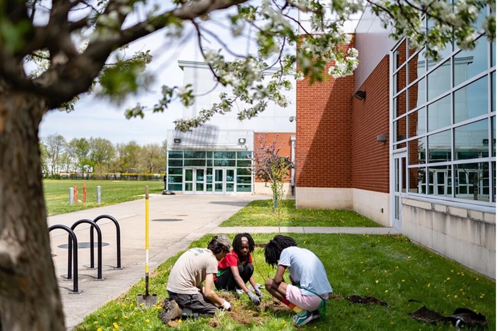 CSF Fellows planting trees outside of a building